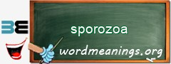 WordMeaning blackboard for sporozoa